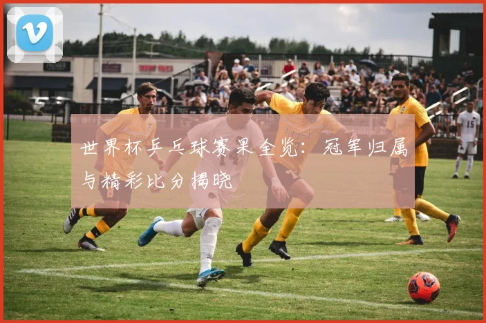 世界杯乒乓球赛果全览:冠军归属与精彩比分揭晓