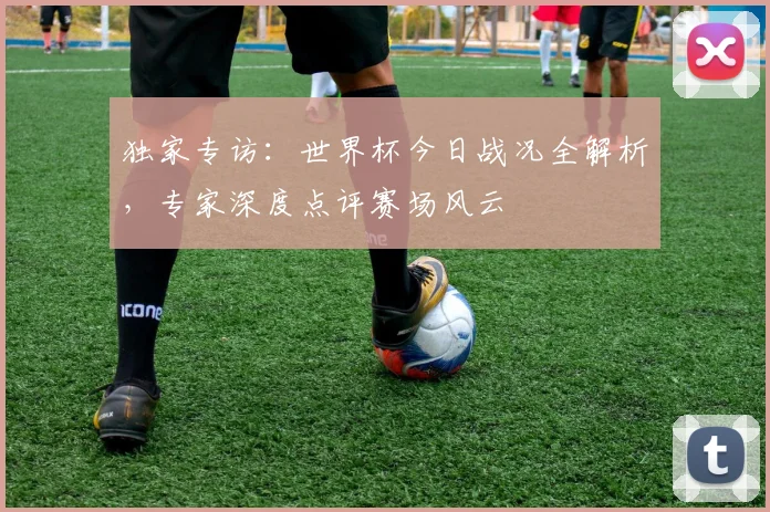 独家专访:世界杯今日战况全解析,专家深度点评赛场风云